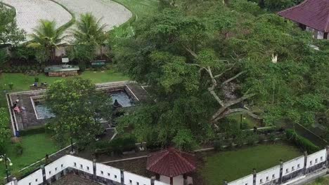 aerial view of tree and hot springs from ancient kingdom in central java - tourist swimming in pool beside farm fields