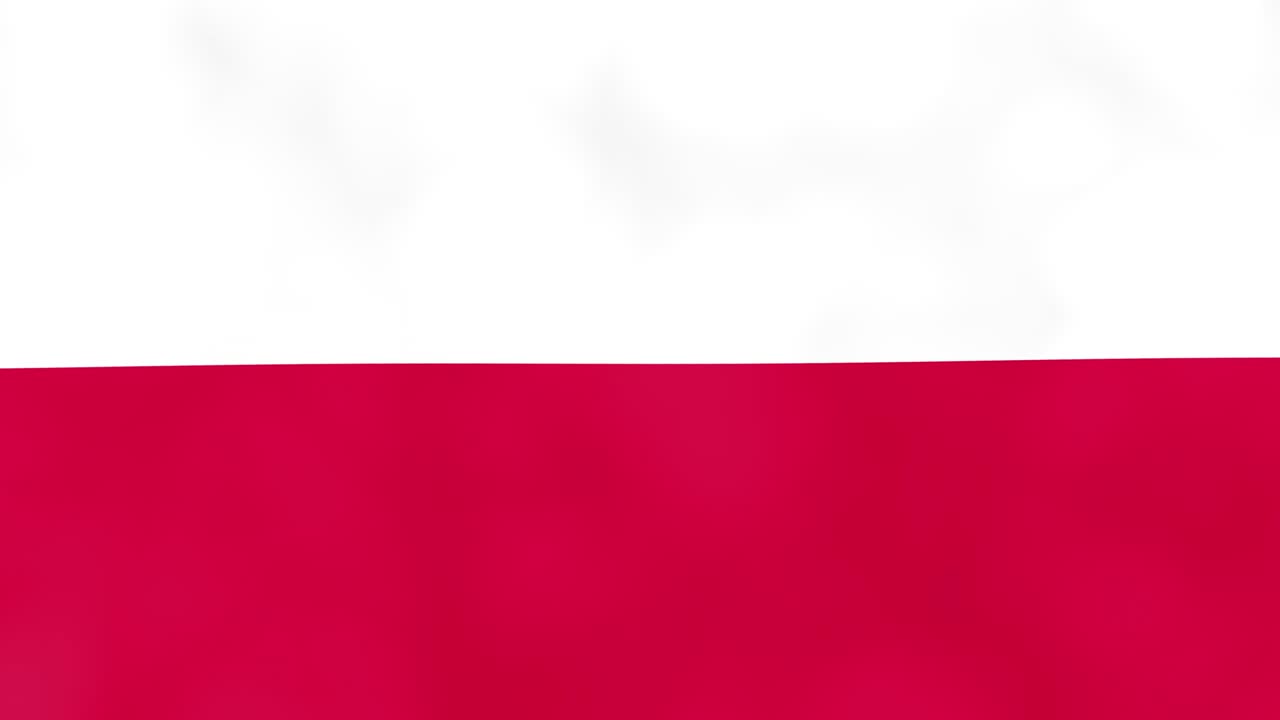 폴란드 국가 3d 발 듀오 전환 배경