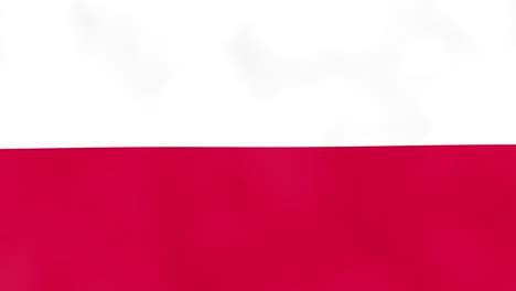 poland country waving 3d flag duo transition background