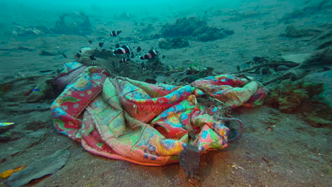 colorful bedding lies on seabed where a sea anemone with fish have settled