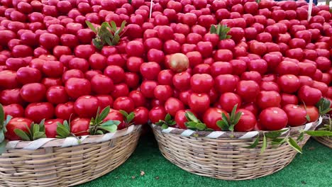 fresh red tomatoes in wicker baskets