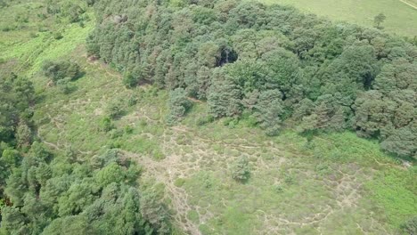 Panorámica-Aérea-De-4k-Sobre-Un-Frondoso-Bosque-En-Inglaterra