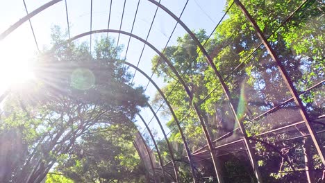 sunlight filters through trees in a birdcage