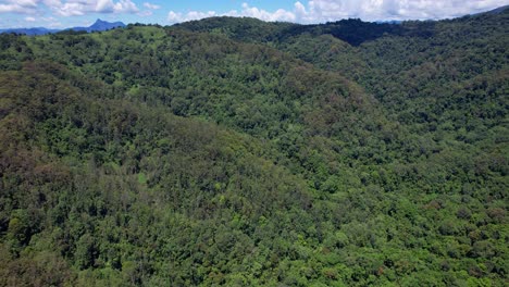 Currumbin-Valley-With-Lush-Vegetation-In-Queensland,-Australia---Aerial-Shot