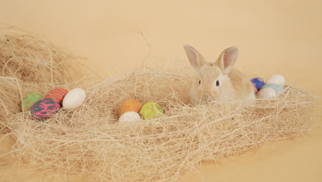 Einsamer-Süßer-Osterhase,-Eingewickelt-Zwischen-Heunest-Mit-Ostereiern---Mittlere-Nahaufnahme-Auf-Der-Bühne