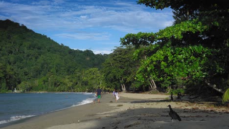 rear view of couple with dog walking on sandy beach, trinidad, trinidad and tobago