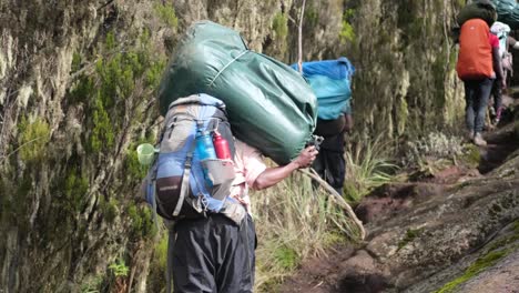 los porteadores llevan troncos al campamento de shira.