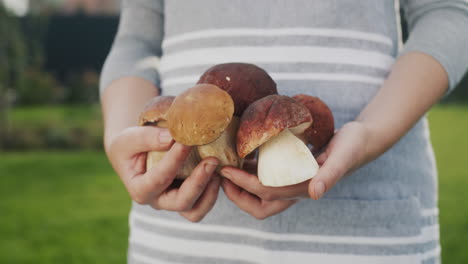 the chef holds several mouth-watering wild mushrooms in his hands