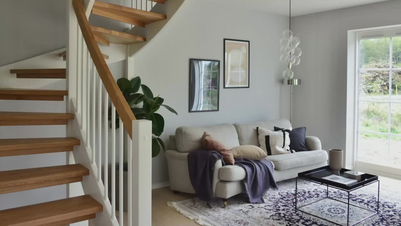 Forest Sunlight and Cloudy Sky