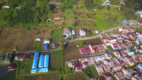 aerial wide view of green natural village in north sumatera, asia with houses surrounded by vegetable farms, trees and fields on a sunny day