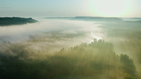 dramatic misty morning sun rays filtering through cloudy forest, aerial view