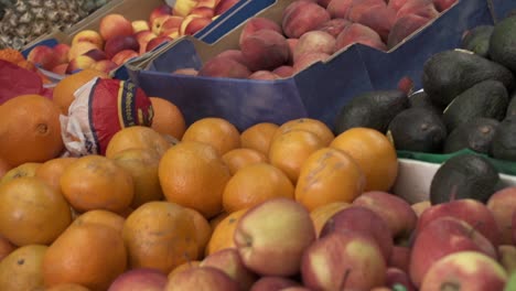 fruit shelf bearing nectarines, apples, oranges, peaches and avocados