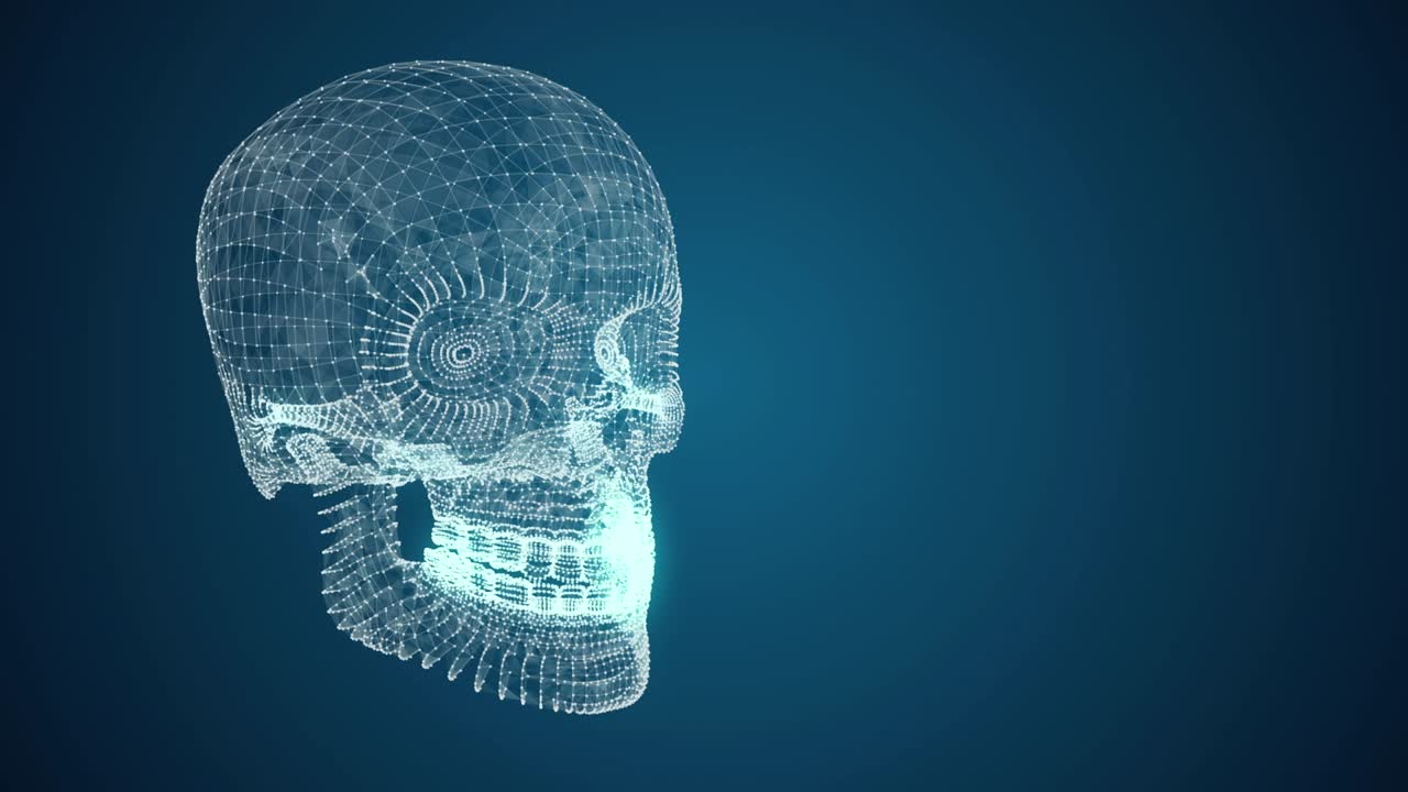 3D Wireframe Skull