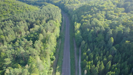 empty asphalt road though deciduous forest in witomino, poland on summer day