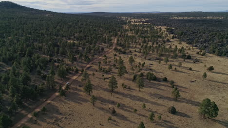 Wide-aerial-of-white-car-driving-along-remote-forest-road-as-camera-pans-up,-4K