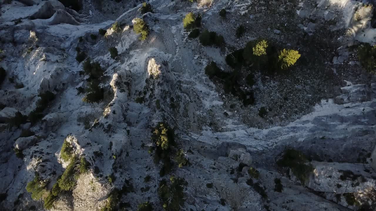 상록수가 있는 산 정상에서 오버헤드 샷