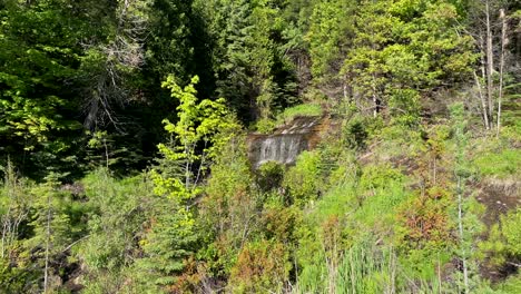 Small-Waterfall-Wide-Angle-In-Forest-With-Trees-On-Bright-Sunny-Day