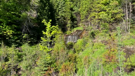 pequeña cascada gran angular en el bosque con árboles en un día soleado