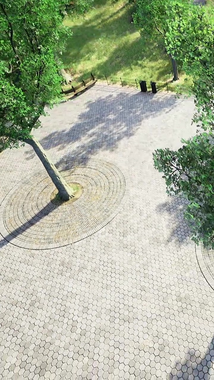 View of a tree casting shadow on a circular pattern on a walkway in a park