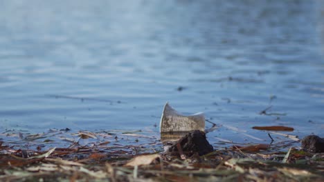 plastic cup floating in polluted lake