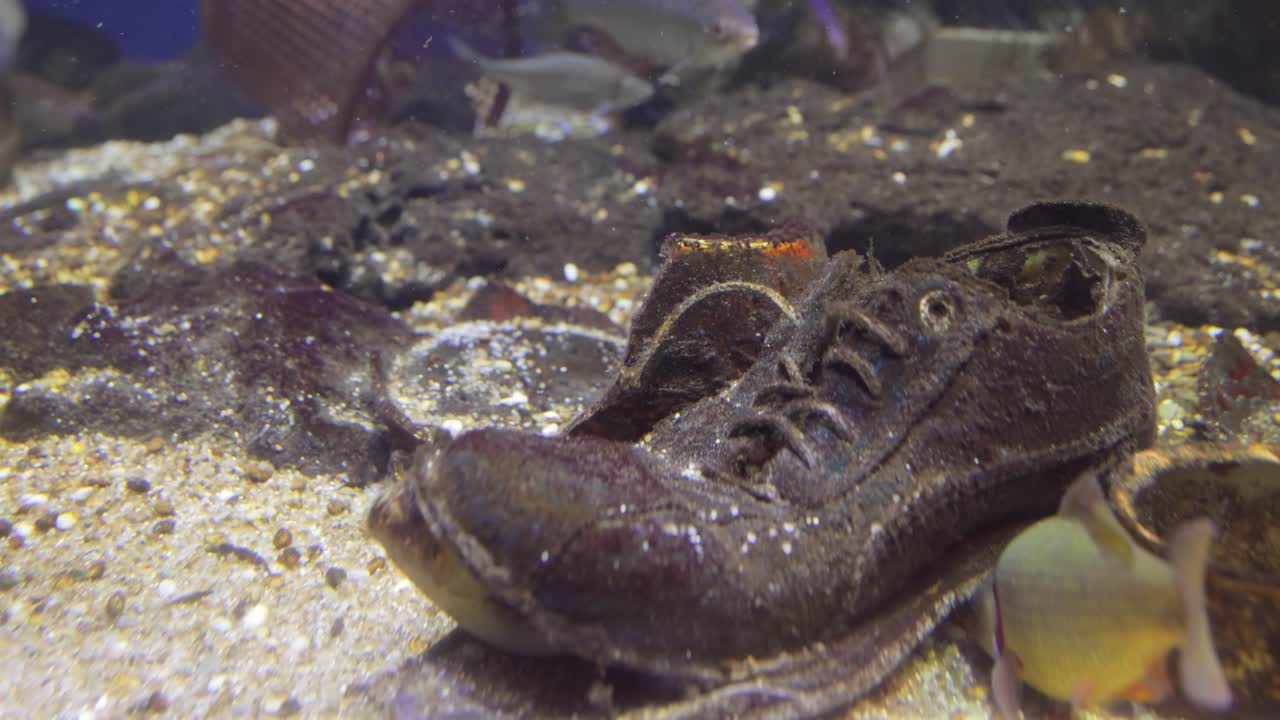 수질 오염과 관련된 환경 문제입니다.