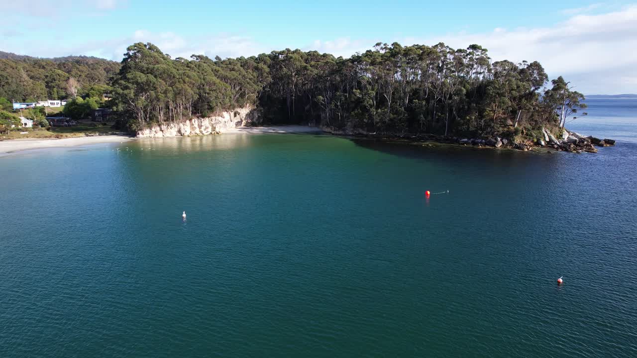 Imagem aérea de um leão marinho nadando no oceano na Tasmânia, Austrália