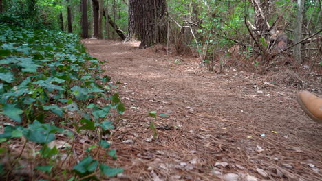 Vista-De-ángulo-Bajo-De-Un-Sendero-Forestal-Cuando-Los-Zapatos-De-Una-Mujer-Joven-Aparecen-A-Lo-Largo-Del-Camino---Inclínate-Hacia-Arriba-Mientras-Se-Aleja