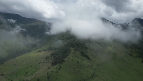 cinematic cloud forest aerial vision drone above cocora valley colombian andean mountain forest near salento town