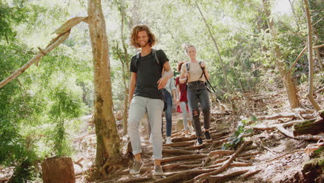 grupo de jóvenes amigos caminando por el campo caminando por el camino juntos