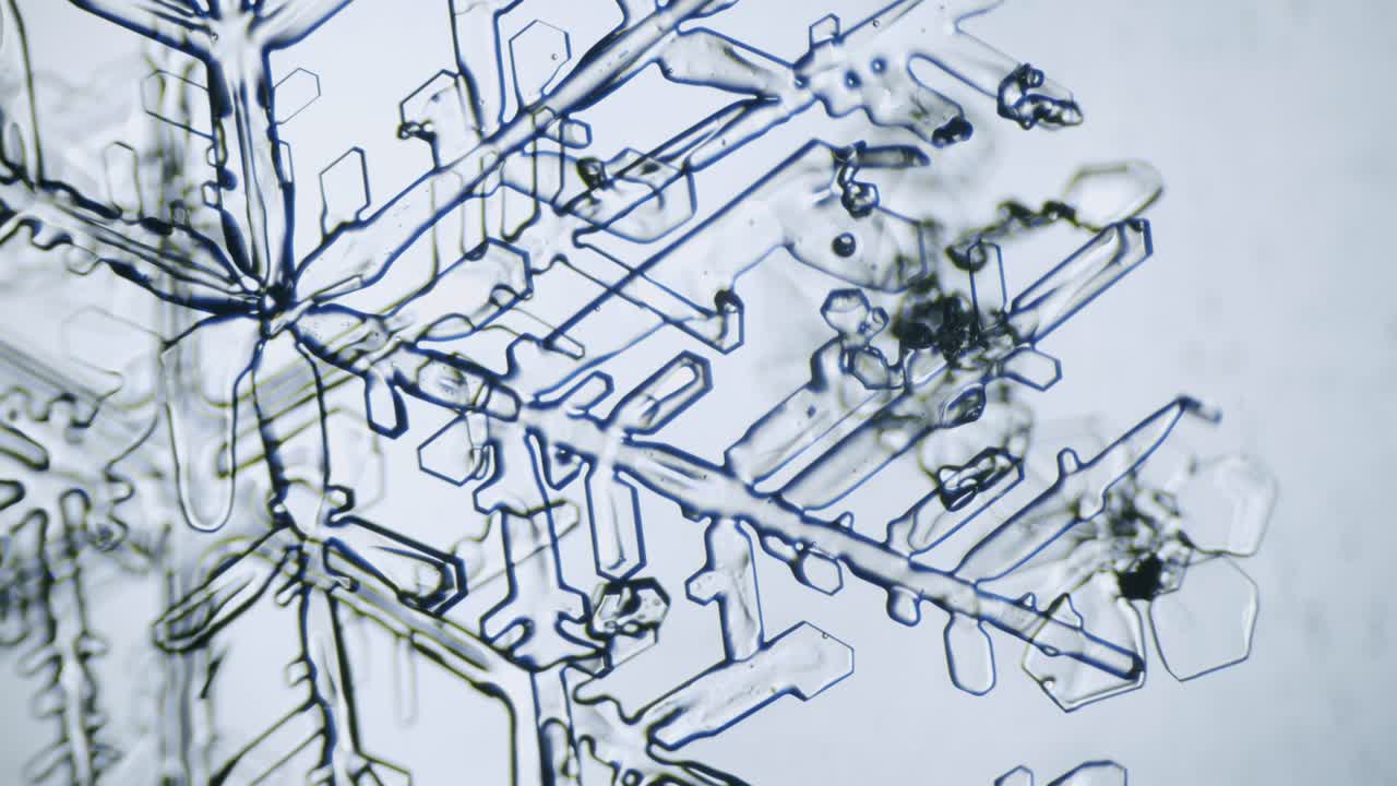 현미경으로 눈송이 얼음 결정 별 수상 돌기