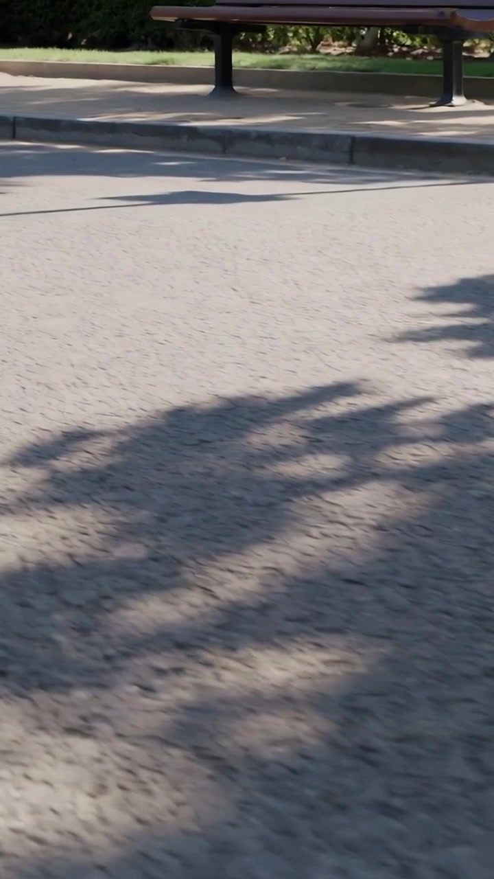 Vertical video: Panning camera revealing textured pavement at park, with bench and white object