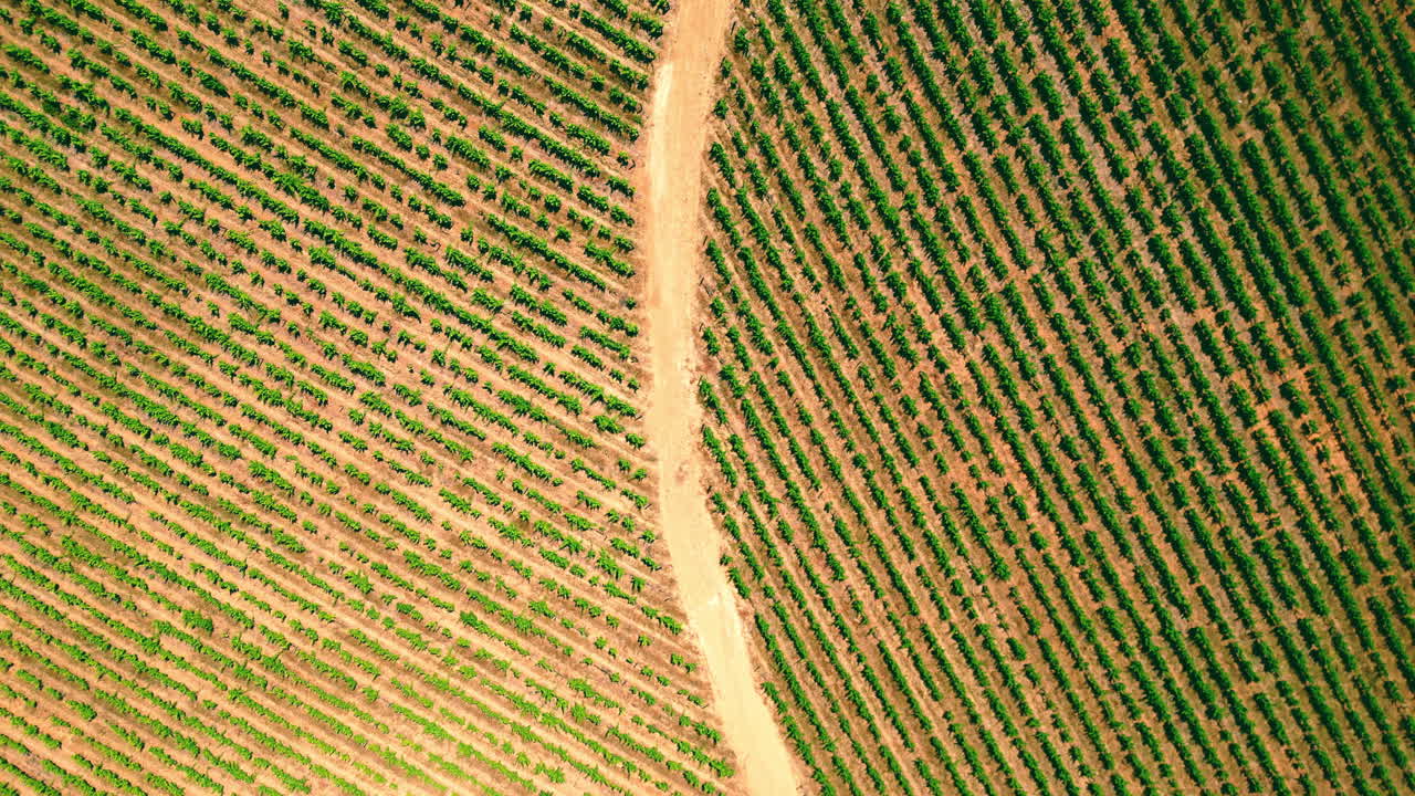vista desde arriba, paisaje agrícola