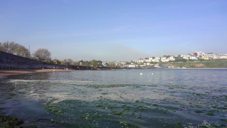 Las-Algas-Marinas-Verdes-Se-Lavan-En-Una-Playa-En-Torbay-Cerca-De-Torquay-En-Devon,-Inglaterra