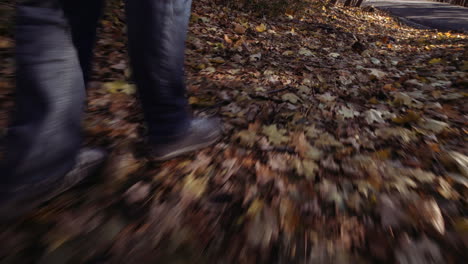 man walking down a trail on the mount-royal in autumn in montreal, quebec, canada