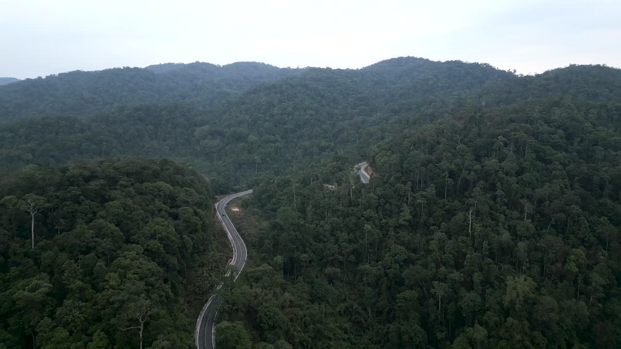 Mountain Road Winding Through Lush Forest