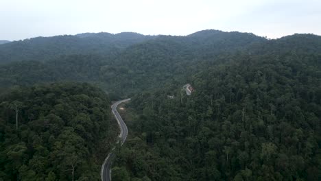 mountain road winding through lush forest