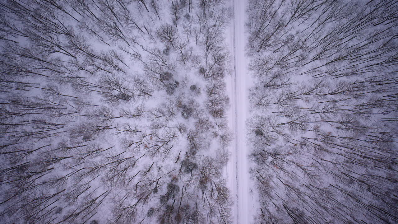 Vista dall'alto con drone di un paesaggio ghiacciato e innevato nel Michigan settentrionale.