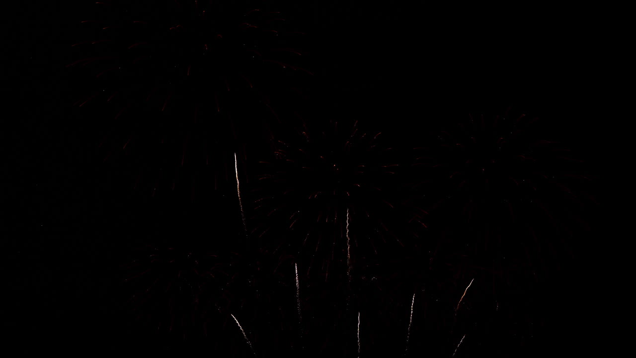 colorido espectáculo de fuegos artificiales por la noche en el fondo del cielo