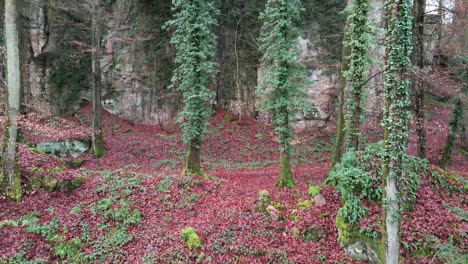 Man-hiking-at-Mullerthal-Route-in-Luxembourg-late-fall---steady-wide-angle-drone-shot