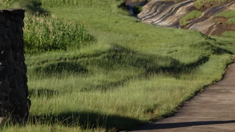 Pan-over-pathway-to-neglected-entrance-sign-at-Liphofung-Cave,-Lesotho