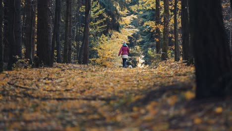 Una-Mujer-Camina-Con-Un-Pequeño-Perro-Blanco-Por-El-Sendero-En-El-Bosque-De-Otoño