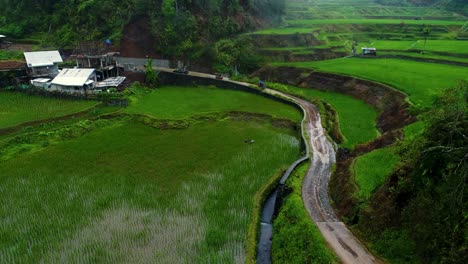 two tuk tuks driving on a wet dirt road into a small phillipine rice paddy farm village in the mountains