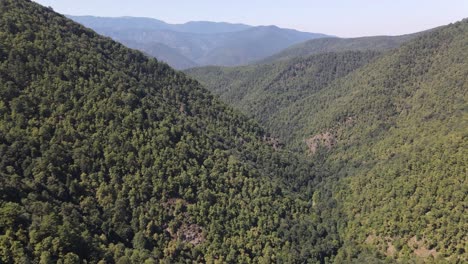 épica-Vista-Aérea-Del-Bosque-De-Montaña-Verde