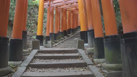 subir las escaleras del santuario fushimi inari de kyoto, caminar tranquilamente a través de las puertas