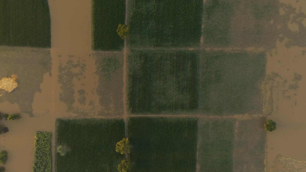 Top-down aerial view of agricultural fields submerged by floods in Pakistan