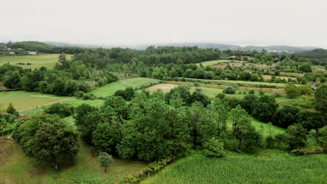 Grünes-Landschafts-Patchwork-Von-Oben.-Antenne