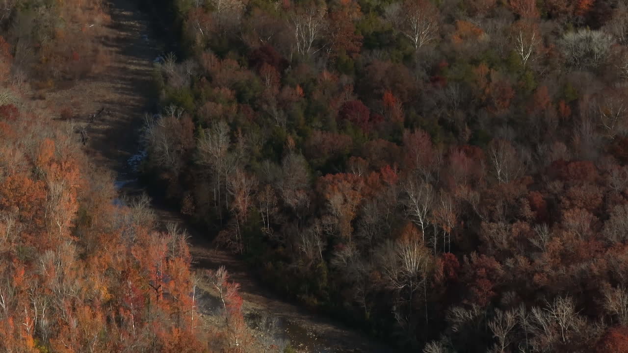 Lee Creek With Shallow Water Between The Dense Forest With Autumn Foliage In Arkansas, USA