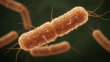 intricate close-up of bacteria under microscope: captivating visuals show detailed structure of microorganisms in a scientific context