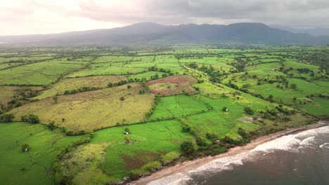 agricultural landscape with growing corn maize plantation fields with mountains background in sumbawa island, indonesia