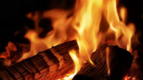 close-up of a burning campfire